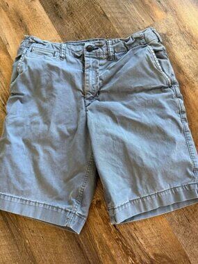 American Eagle Next Level Flex Blue Shorts Size 30 Casual Stretch